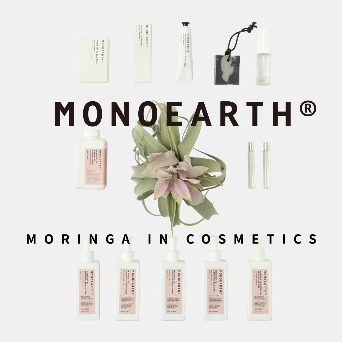 MORINGA IN COSMETICS｜モリンガ イン コスメ