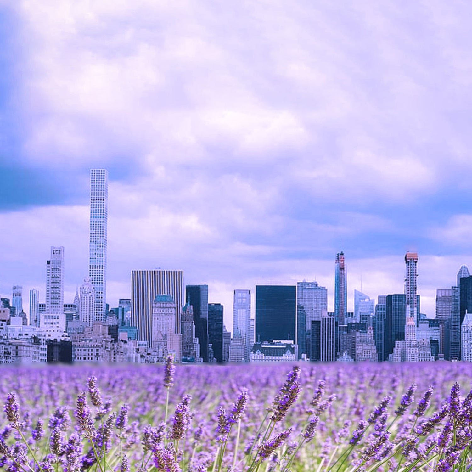 Aroma Diffuser Refill｜アロマディフューザー リフィル ハーバルホライズン