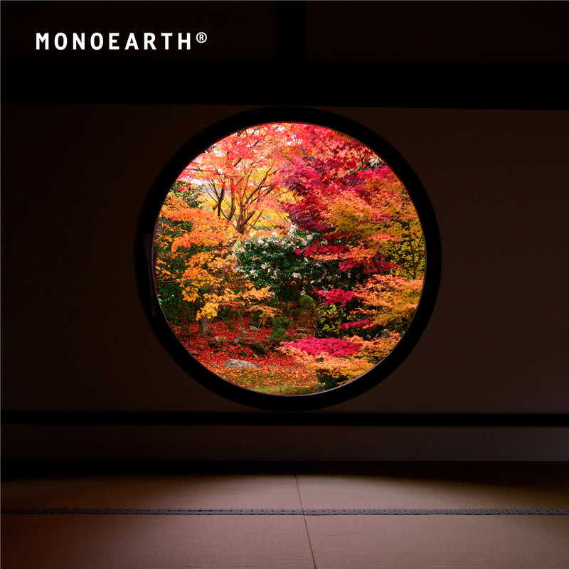 MONOEARTH（モノアース）】奇跡の木 モリンガオイルのスキンケアで抜群