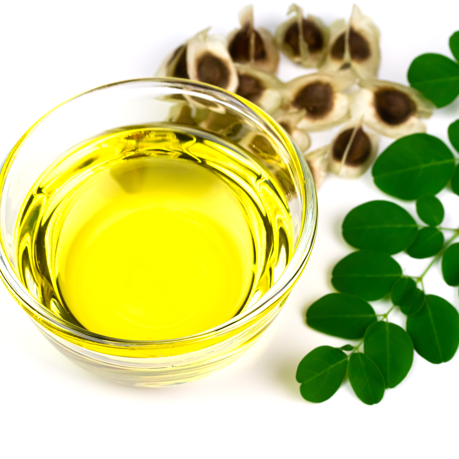Pure Moringa Seed Oil 30mL｜ピュア モリンガ シード オイル
