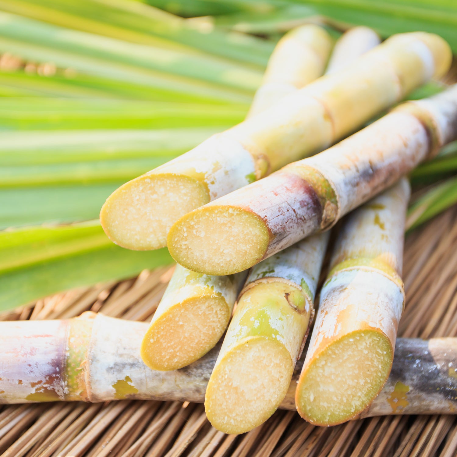 Moringa in Perfume Oil Rollerball｜モリンガイン ロールオンパフュームオイル ハーバルホライズン