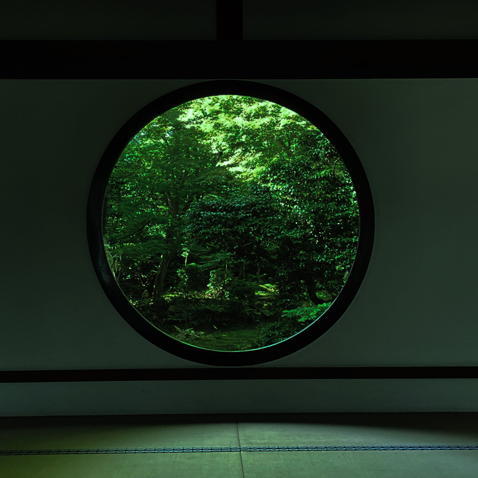 Moringa in Botanical Sunscreen 30g｜モリンガイン ボタニカル